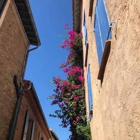 66B - Beautiful Flat 800M From The Sea With Private Parking Appartement Collioure Buitenkant foto