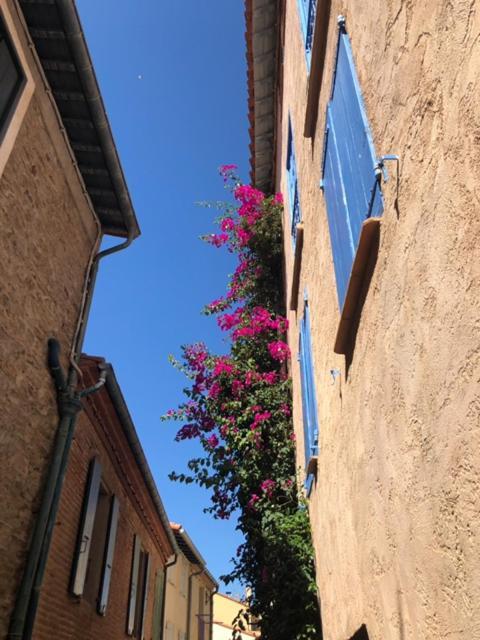 66b - Beautiful Flat 800m From The Sea With Private Parking Appartement Collioure