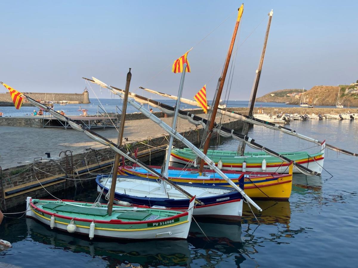 66b - Beautiful Flat 800m From The Sea With Private Parking Apartment Collioure